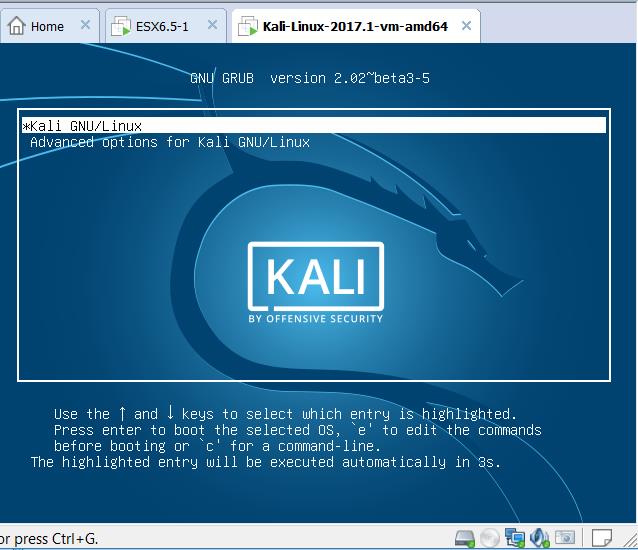 kali linux vmware workstation download