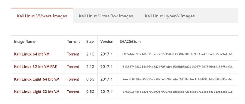 vmware vs virtualbox for kali linux