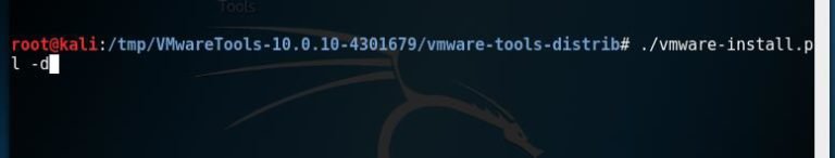 kali install vmware tools